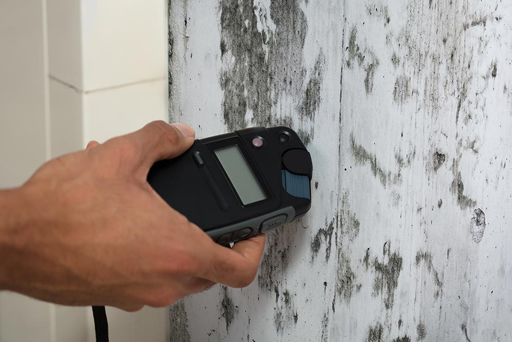 Moisture meter being used on a moldy wall while preforming environmental inspection services 