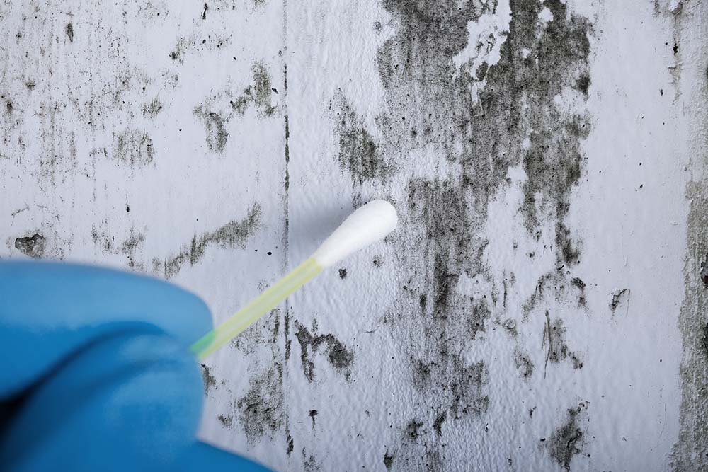 Person using a cotton swab to collect mold while preforming environmental testing services