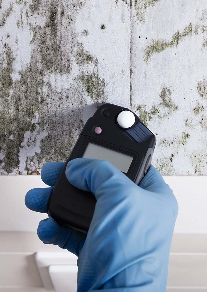 Moisture meter used on a moldy wall while doing environmental testing 